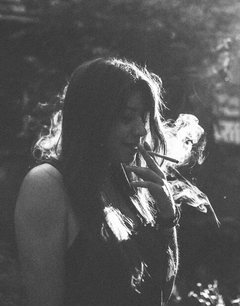 Experience your cannabis education journey with SLO Cal Roots