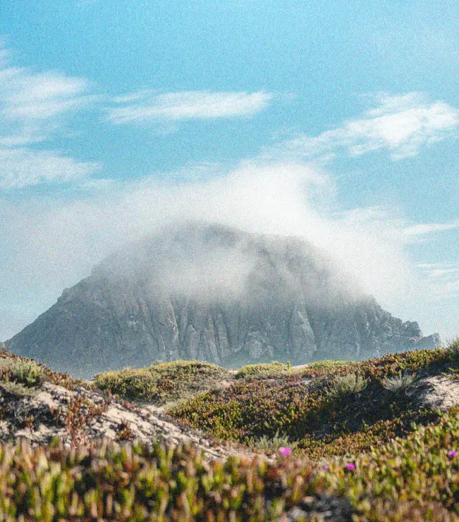 Morro Rock in SLO Cal, partially wrapped in fog, with vibrant coastal vegetation in the foreground under a bright blue sky.